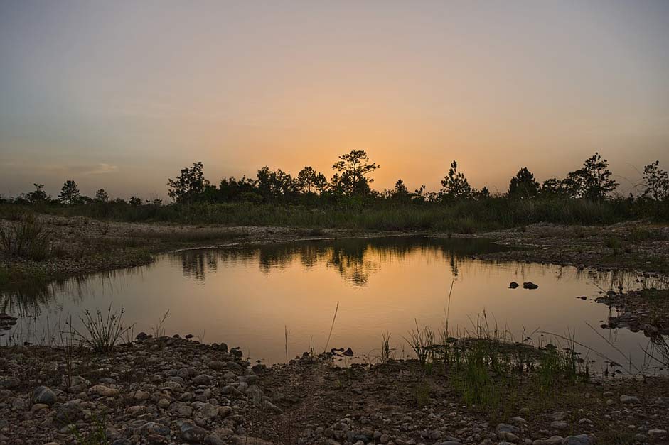 Nature Water Lake Landscape