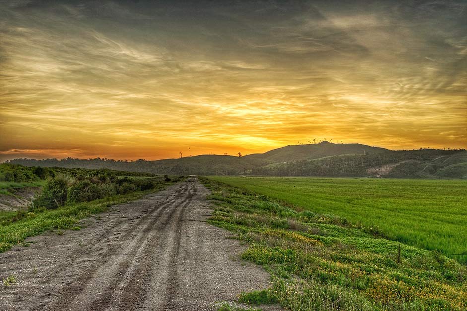 Natural Landscape Mountain Rice-Field