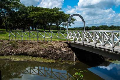 Bridge Walk Creek Over Picture