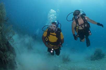 Scuba Underwater Diving Divers Picture