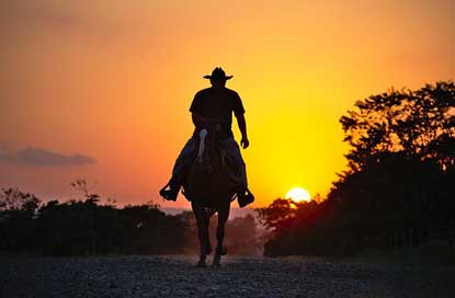 Horse Summer Silhouette Cowboy Picture