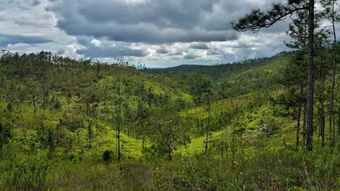 Mountain'S Sky Tree'S Valley Picture