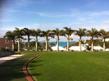 Bermuda Grass Ocean Golf Picture