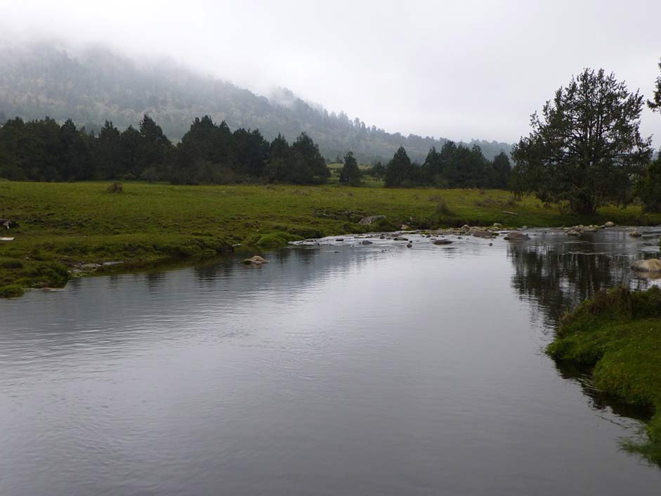 Gogona-Valley Mist Valley Stream