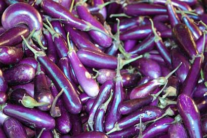 Bhutan  Eggplant Organic Picture