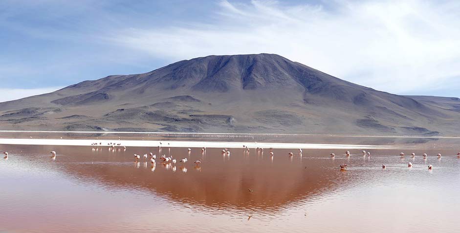  Bolivia Colorada Laguna