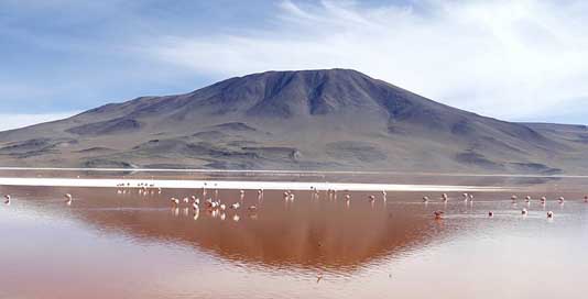 Laguna  Bolivia Colorada Picture