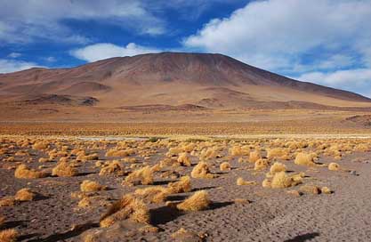 Bolivia  Desert Laguna Picture