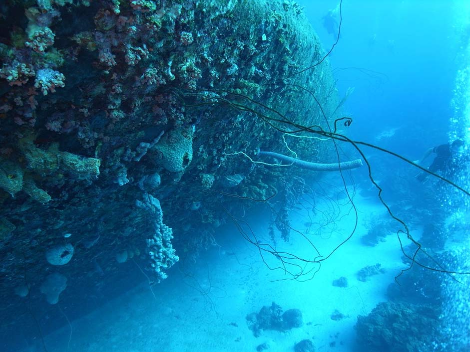 Diver Shipwreck Underwater Scuba-Diving
