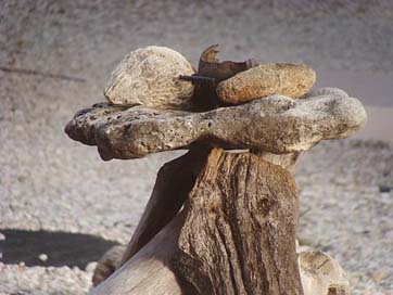 Still-Life  Wood Bonaire Picture