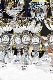 Dog-Show Award Trophies Winners Picture