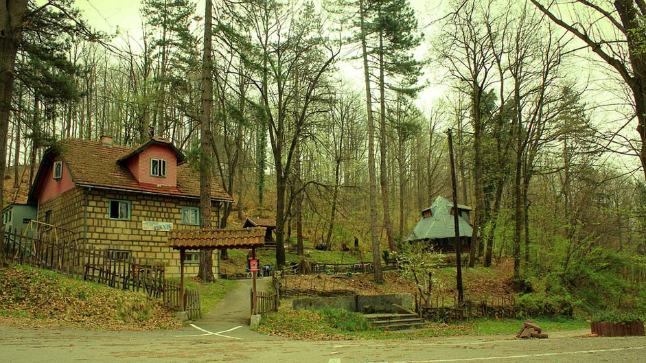 Picnic Forest Bosnia Tuzla