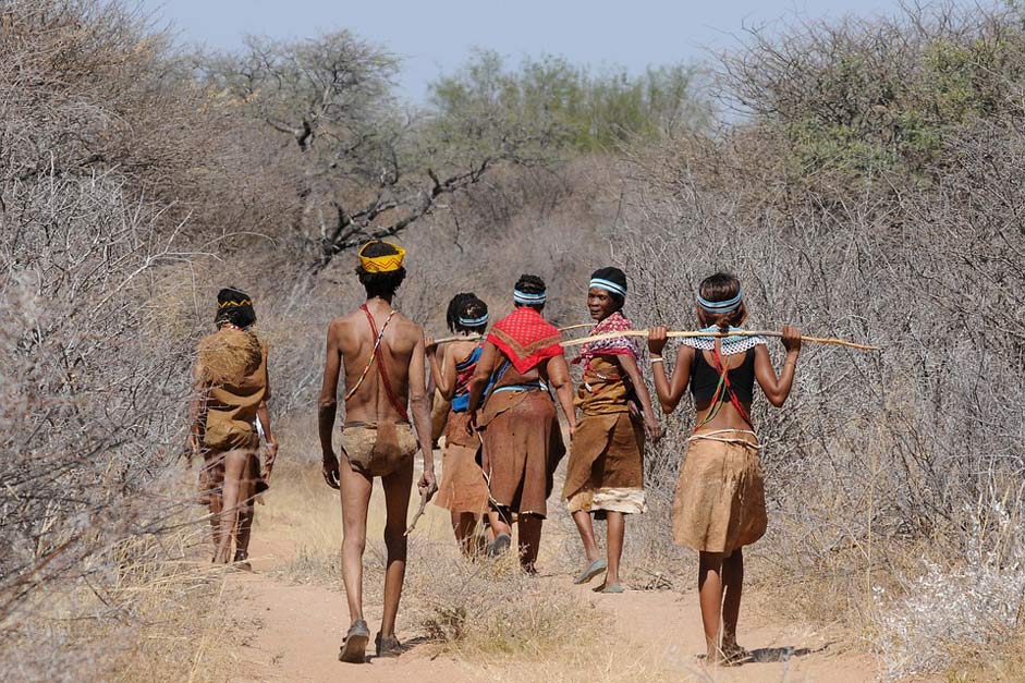 Collect Group Bushman Botswana