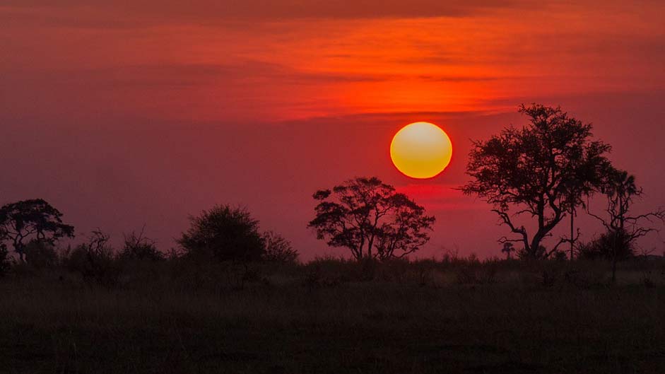  Sunset Okavango-Delta Botswana