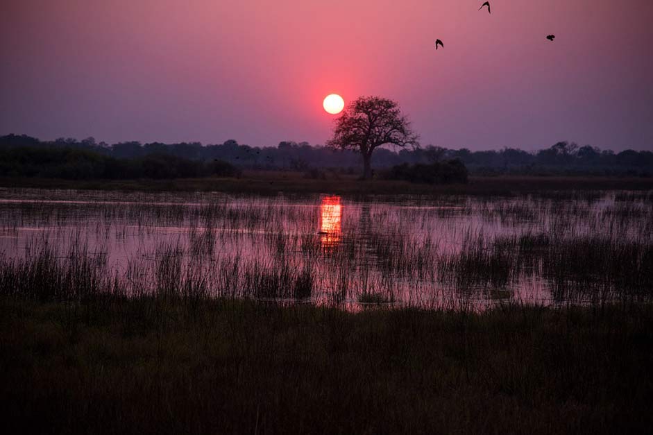 Red Crimson Sunrise Botswana