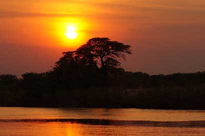 Africa Okavango-Delta Botswana Twilight Picture