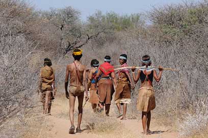 Botswana Collect Group Bushman Picture