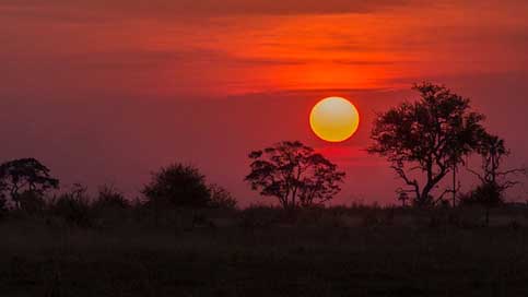 Botswana  Sunset Okavango-Delta Picture