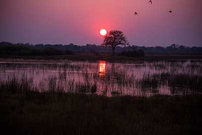 Botswana Red Crimson Sunrise Picture