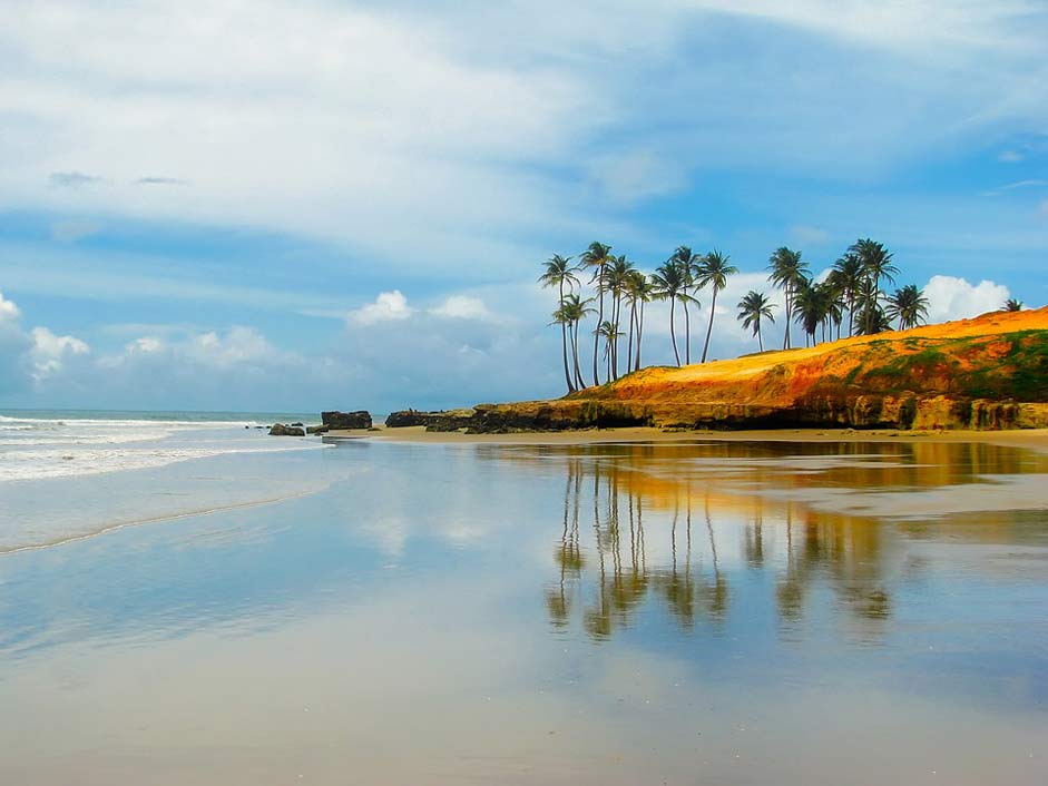 Palms Clouds Sky Brazil