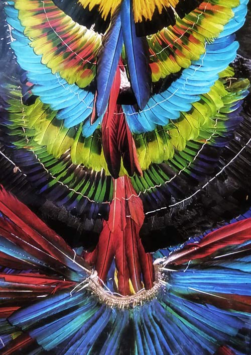 Native Amazon Feathered-Headdress Colorful