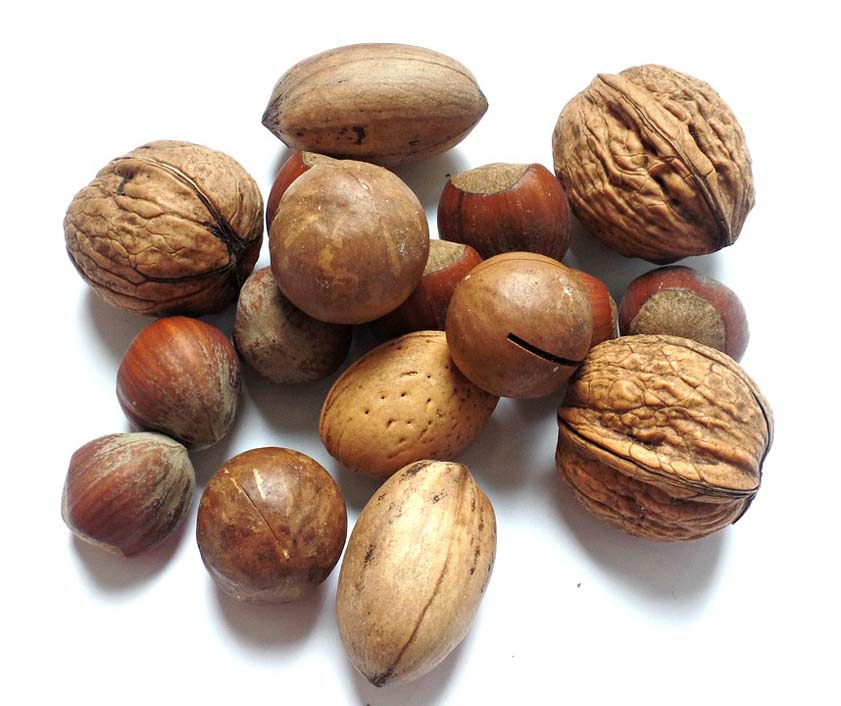 Hazelnut Brazil-Nut Walnut Nut