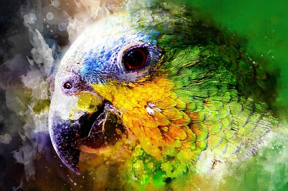 Yellow Green Watercolor Parrot