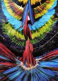Colorful Native Amazon Feathered-Headdress Picture