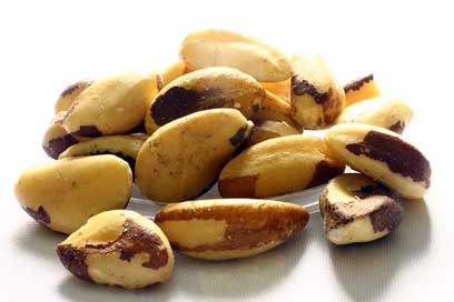 Brazil-Nut Tocari Brazil-Nuts Brazil-Nuts-Acre Picture