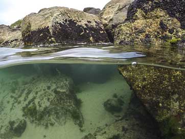 Diving Stone Mar Beach Picture