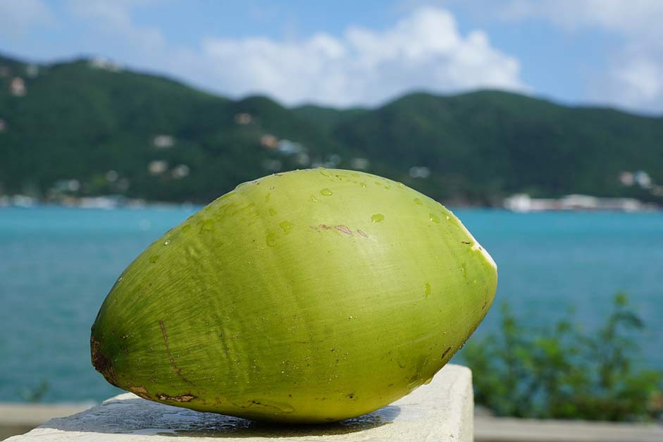 Sea British-Virgin-Island Caribbean Coconut