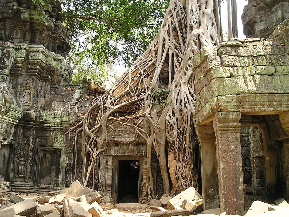 Wat Cambodia Root Angkor-Wat
