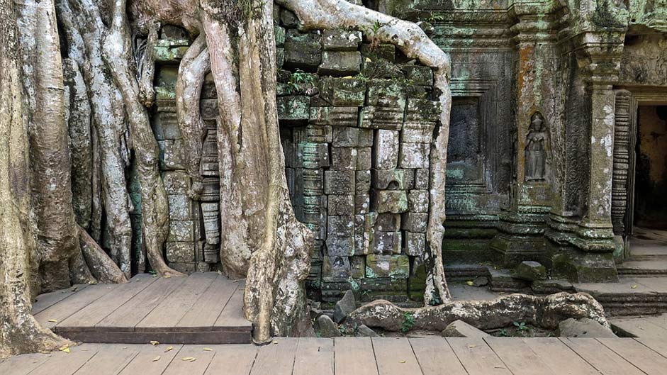 Ta-Prohm Temple Angkor Cambodia