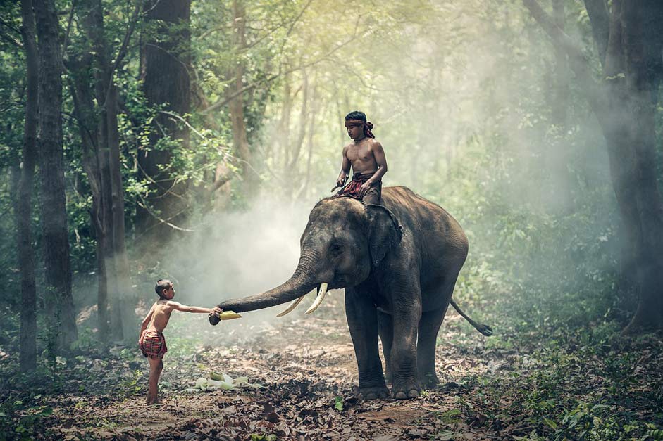 Asia Children Riding Elephant