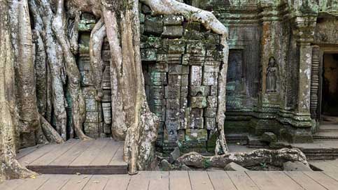 Cambodia Ta-Prohm Temple Angkor Picture