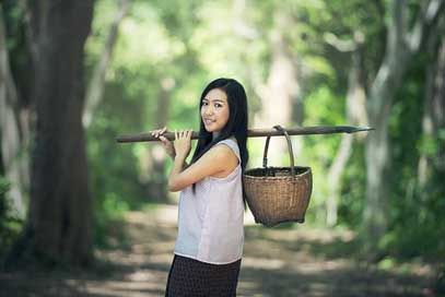 Countryside Background Asia Basket Picture