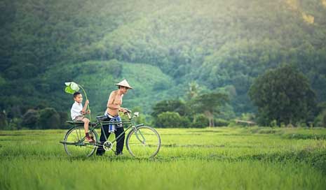 Bicycle Myanmar Outside Cambodia Picture