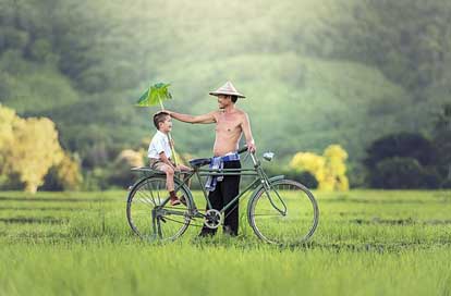 Bicycle Cambodia Parrent Relationship Picture