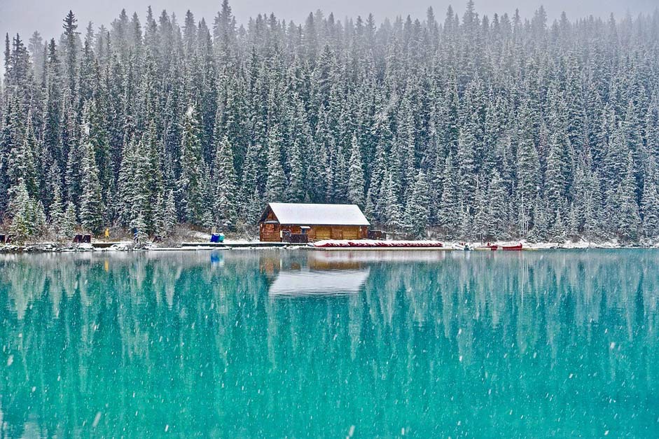 Forest Canada Lake-Louise Cabin