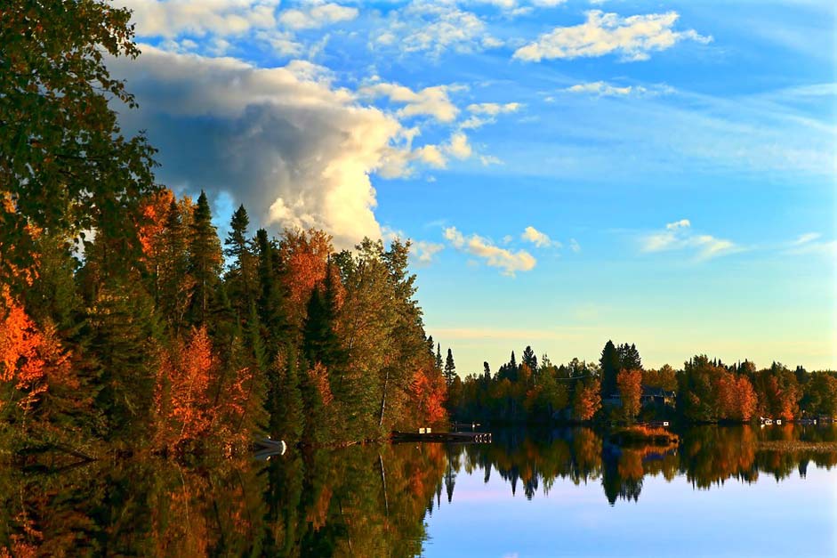 Trees Nature Autumn Landscape