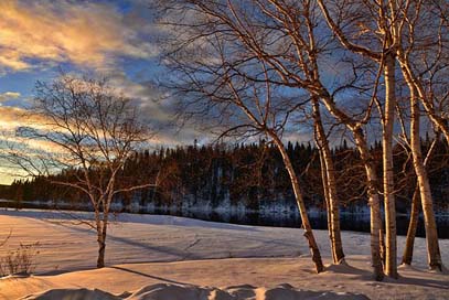 Winter-Landscape Frozen-Lake Birch Snow Picture