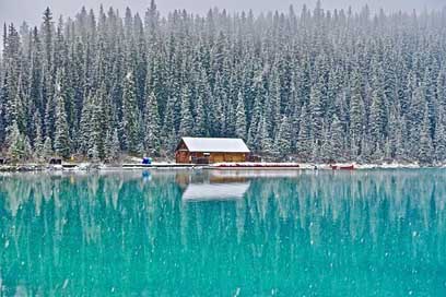 Cabin Forest Canada Lake-Louise Picture