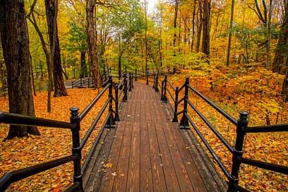 Canada Colors Autumn Fall Picture