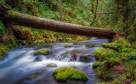 Canada Nature Scenic Landscape Picture