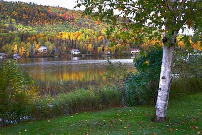 Landscape Trees Nature Fall Picture