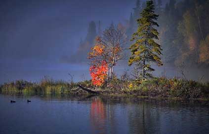 Autumn-Landscape Autumn-Leaves Trees Fall Picture