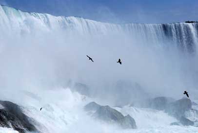 Niagara Canada Waterfall Falls Picture