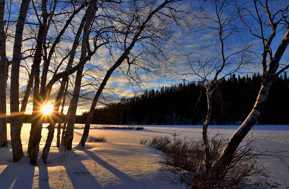 Winter Twilight Sunset Winter-Landscape