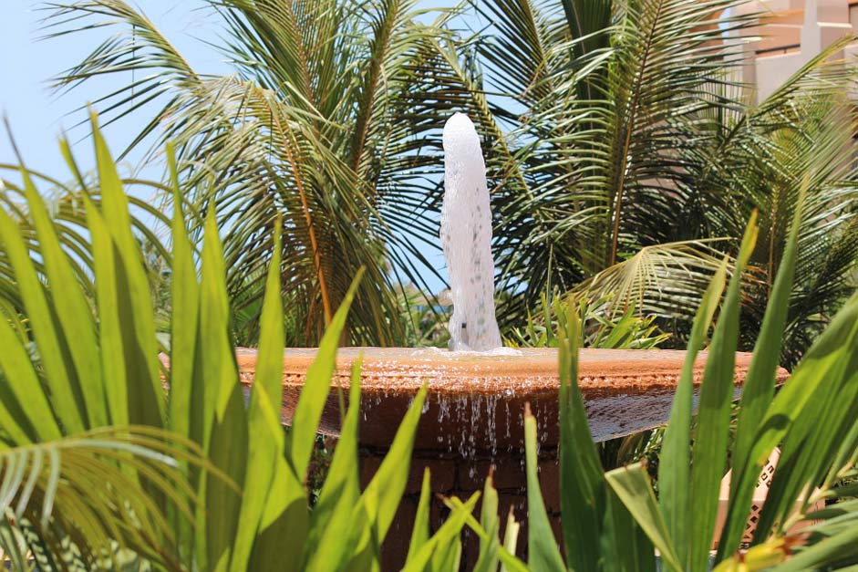  Cape-Verde Palm-Trees Fountain