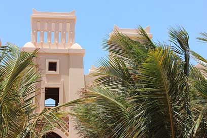 Cape-Verde  Hotel Palm-Trees Picture